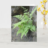 Frühjahrsfest Karte (Gelbe Blume)