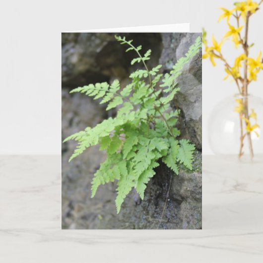 Frühjahrsfest Karte (Gelbe Blume)