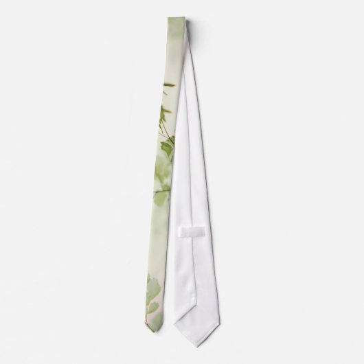 Frühjahrsfolien Krawatte (Rückseite)