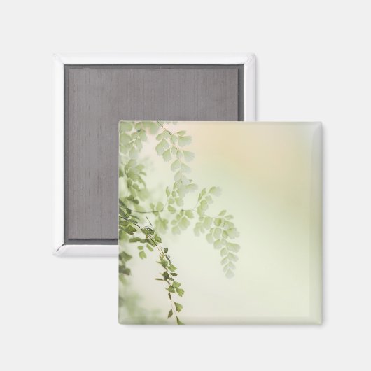 Frühjahrsfolien Magnet (Vorderseite/Rückseite)