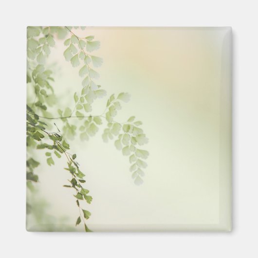 Frühjahrsfolien Magnet (Vorne)