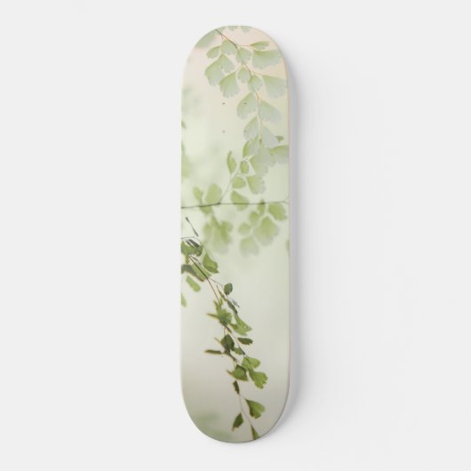 Frühjahrsfolien Skateboard (Vorderseite)