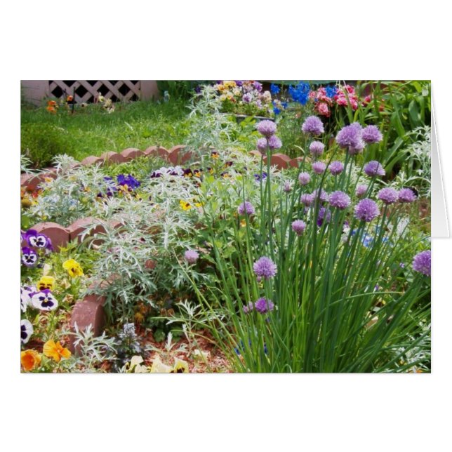 Frühjahrsgarten (Vorderseite (Horizontal))