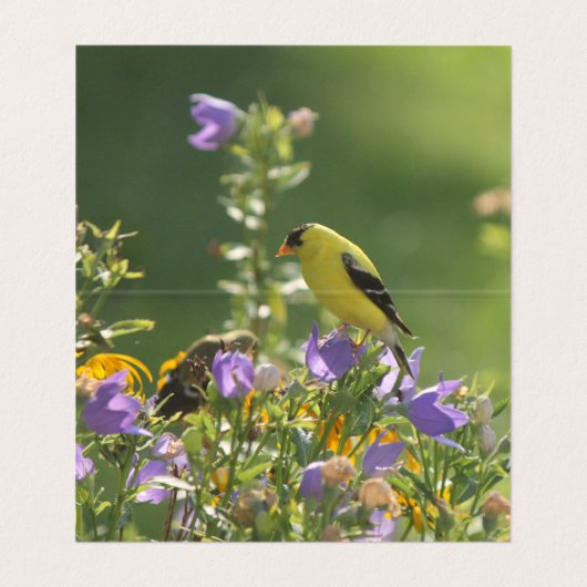 Frühjahrsgartenkollektion Visitenkarten (Innenseite Aufgefaltet)