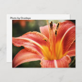 Frühjahrsgedichte Postkarte (Vorne/Hinten)