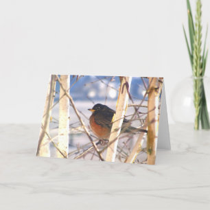 Frühjahrsgrüße Karte