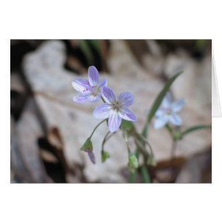 Frühjahrshauty - Maßgeschneiderte