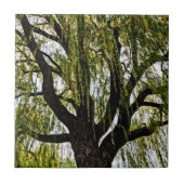 Frühjahrshoffnungen gedämpft fliese (Vorderseite)