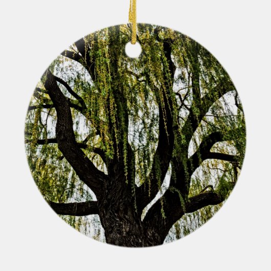 Frühjahrshoffnungen gedämpft keramik ornament (Hinten)