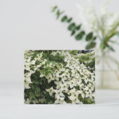 Frühjahrshügel in Marshall Bloom Postkarte (Stehend Vorderseite)