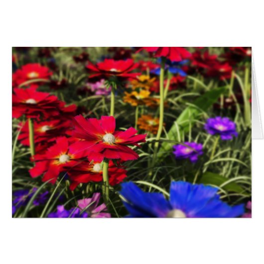 Frühjahrskarte (Vorderseite (Horizontal))