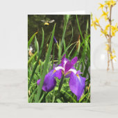 Frühjahrskarte Karte (Gelbe Blume)