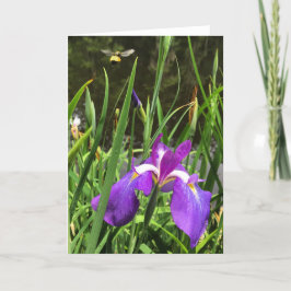 Frühjahrskarte Karte