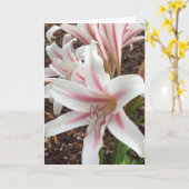 Frühjahrskarte Nr. 2 (innen leer) Karte (Gelbe Blume)