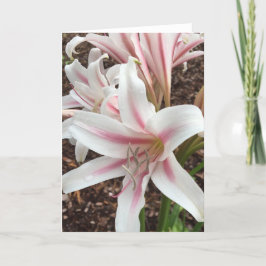 Frühjahrskarte Nr. 2 (innen leer) Karte