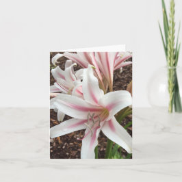 Frühjahrskarte Nr. 2 Karte