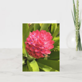 Frühjahrskarte Nr. 3 (innen leer) Karte