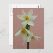 Frühjahrskarte Postkarte (Vorne/Hinten)