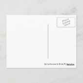 Frühjahrskarte Postkarte (Rückseite)