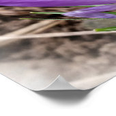 Frühjahrskreuzze Poster (Ecke)