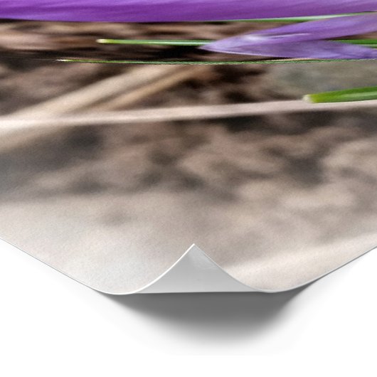 Frühjahrskreuzze Poster (Ecke)