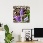 Frühjahrskreuzze Poster (Heimbüro)