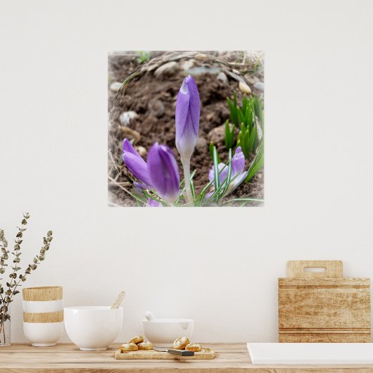 Frühjahrskreuzze Poster (Küche)