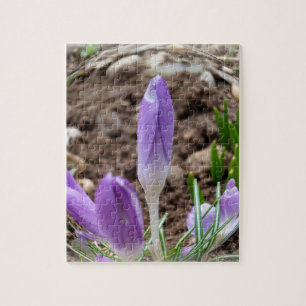 Frühjahrskreuzze Puzzle