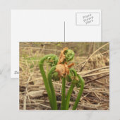 Frühjahrskünstler Postkarte (Vorne/Hinten)