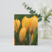 Frühjahrskurse Postkarte (Stehend Vorderseite)