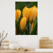 Frühjahrskurven-Plakatdruck Poster (Küche)