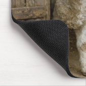 Frühjahrslamm an der Scheunentür Mousepad (Ecke)