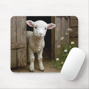 Frühjahrslamm an der Scheunentür Mousepad