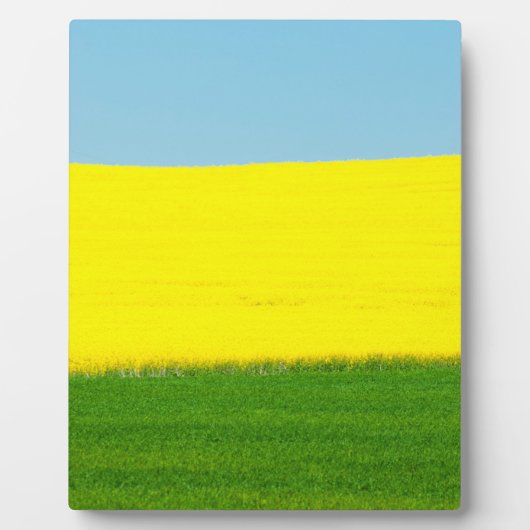 Frühjahrslandschaft Fotoplatte (Vorderseite)