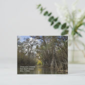 Frühjahrslauf im Winter Postkarte (Stehend Vorderseite)