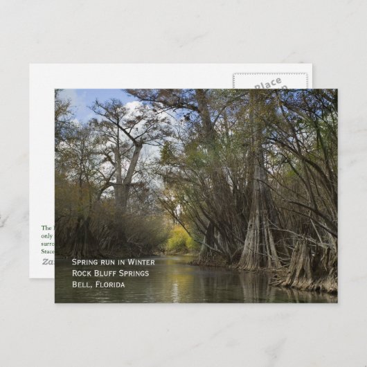 Frühjahrslauf im Winter Postkarte (Vorne/Hinten)