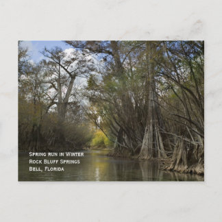 Frühjahrslauf im Winter Postkarte