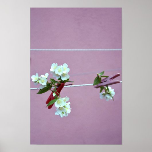 Frühjahrslinie Poster (Vorne)