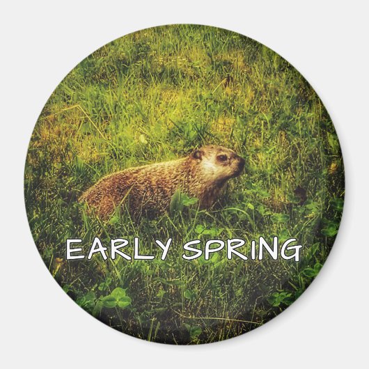 Frühjahrsmagnet Magnet (Vorne)