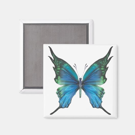 Frühjahrsmomst Magnet (Vorderseite/Rückseite)