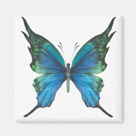 Frühjahrsmomst Magnet