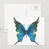 Frühjahrsmomst Postkarte (Vorne/Hinten)