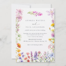 Frühjahrsommer-Wildblume | Farbenfrohe Blumenhochz