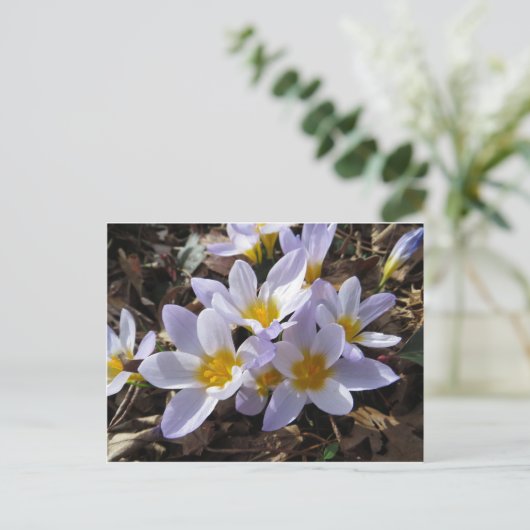 Frühjahrspackung Postkarte (Stehend Vorderseite)