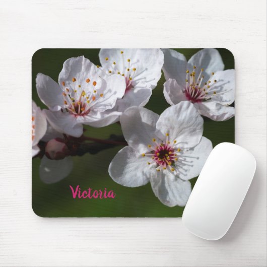 Frühjahrspalomene Mousepad (Mit Mouse)