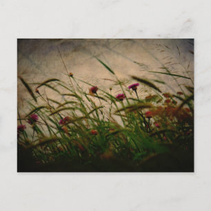 Frühjahrspause Postkarte