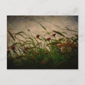 Frühjahrspause Postkarte (Vorderseite)