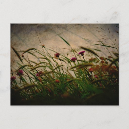 Frühjahrspause Postkarte (Vorderseite)