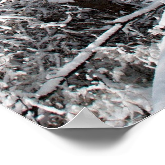 Frühjahrspferd-Natur-Poster Poster (Ecke)