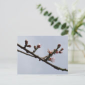 Frühjahrspostkarte Postkarte (Stehend Vorderseite)